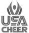 USA-Cheer_Blk